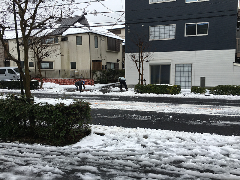東京で雪１