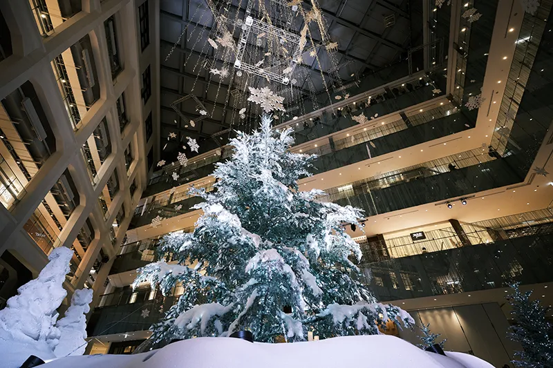 広角モードで下からクリスマスツリーを撮ろう