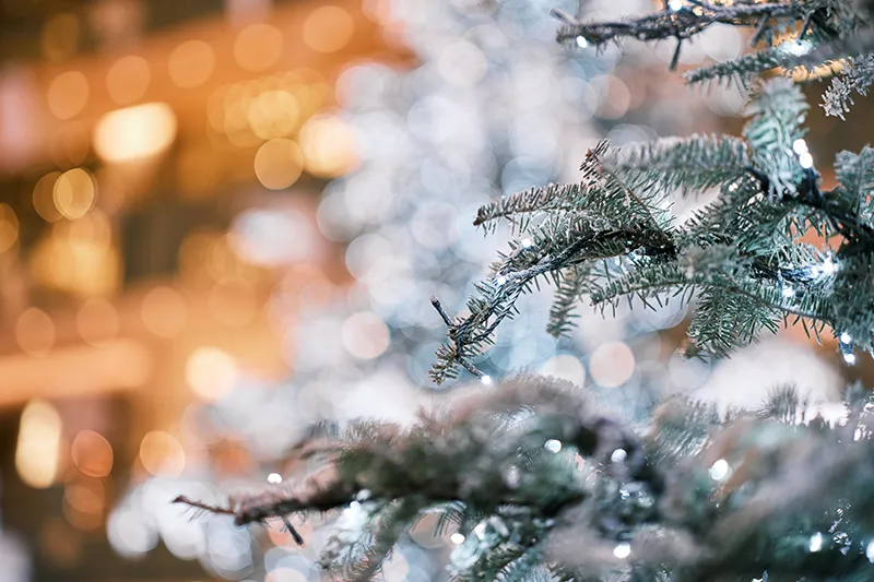 ポートレートモードでピンボケを上手に使って撮ろう