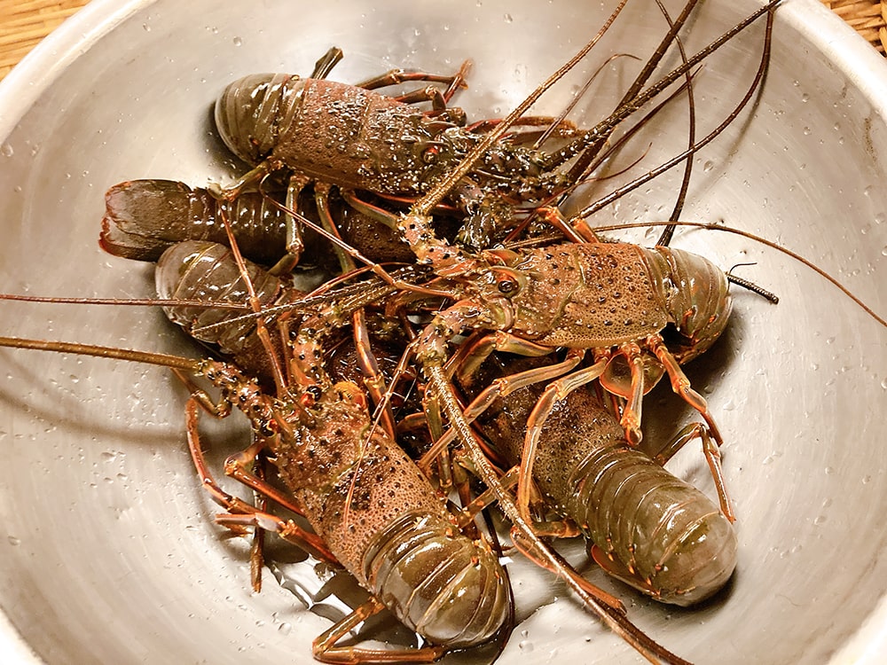 御宿 海楽 伊勢海老