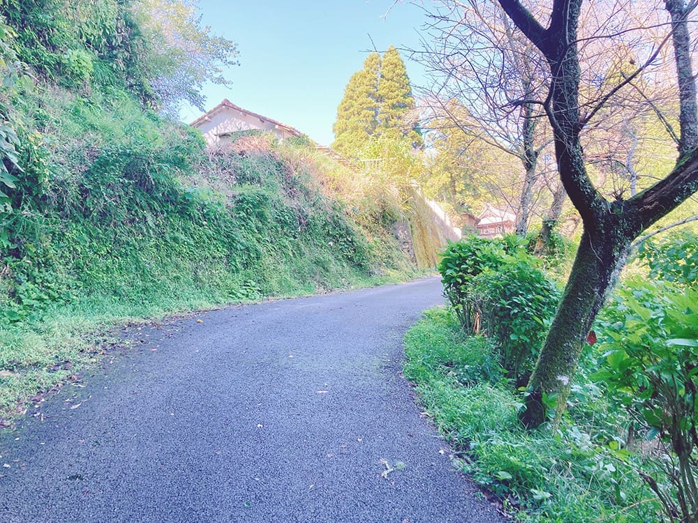 御宿町 春日神社 緑の生い茂った林道