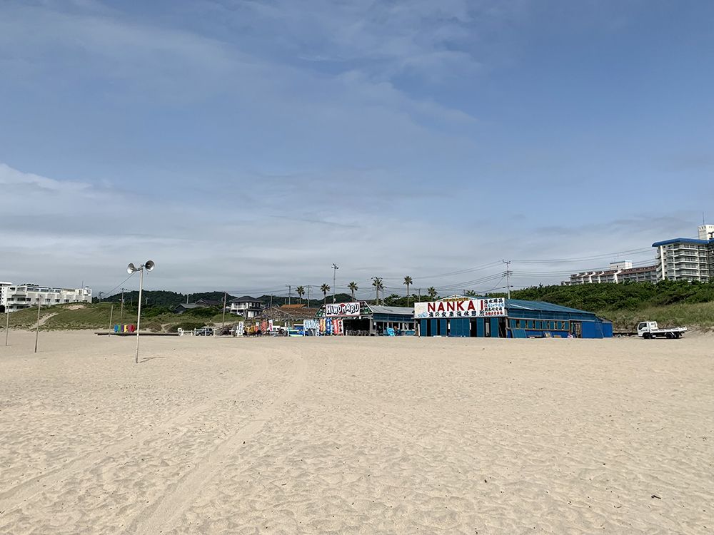 海岸から道路側の方に目を向けると