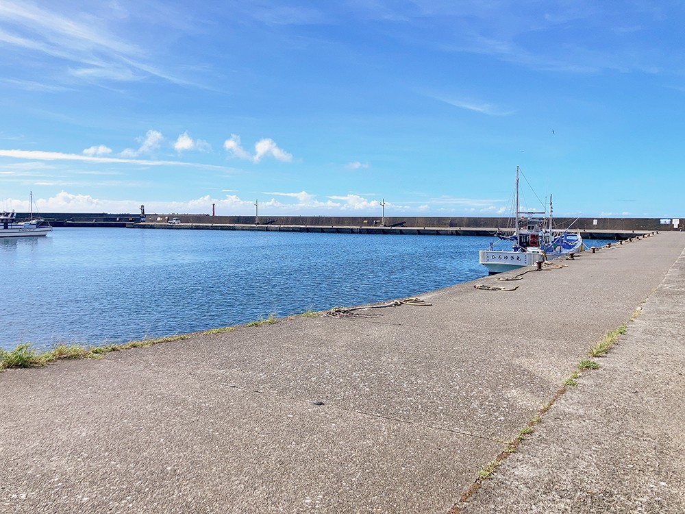 きれいな岩和田漁港