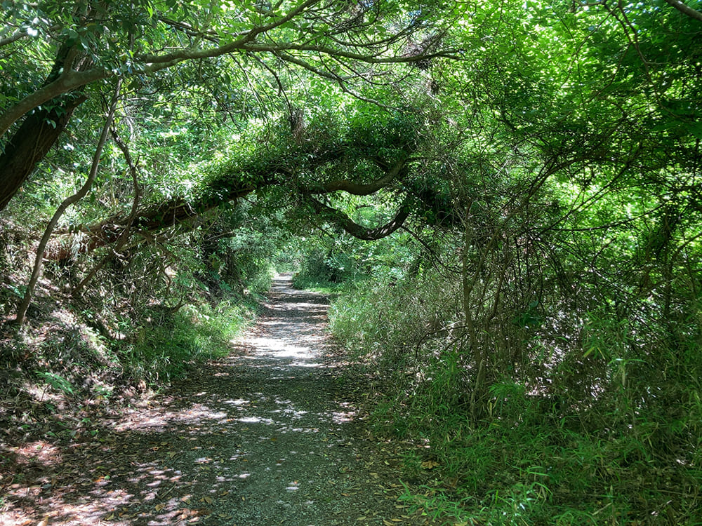 御宿町 小浦海岸 ジブリに出てくるような世界観