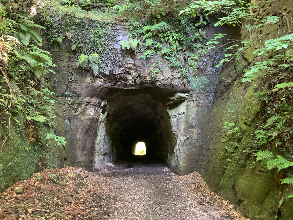 御宿町 小浦海岸 真っ暗なトンネル