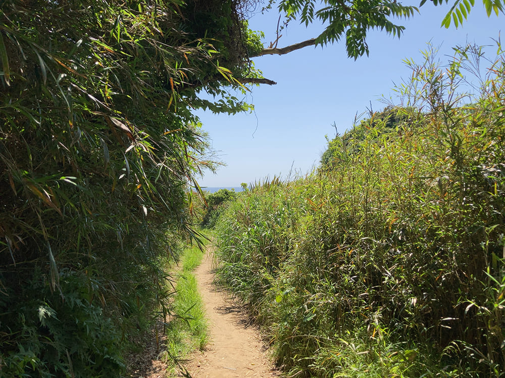 御宿町 小浦海岸 目線の先に海