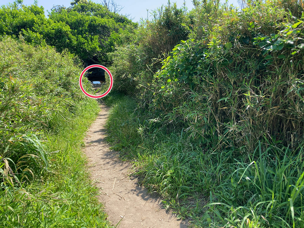 御宿町 小浦海岸 な不思議な場所