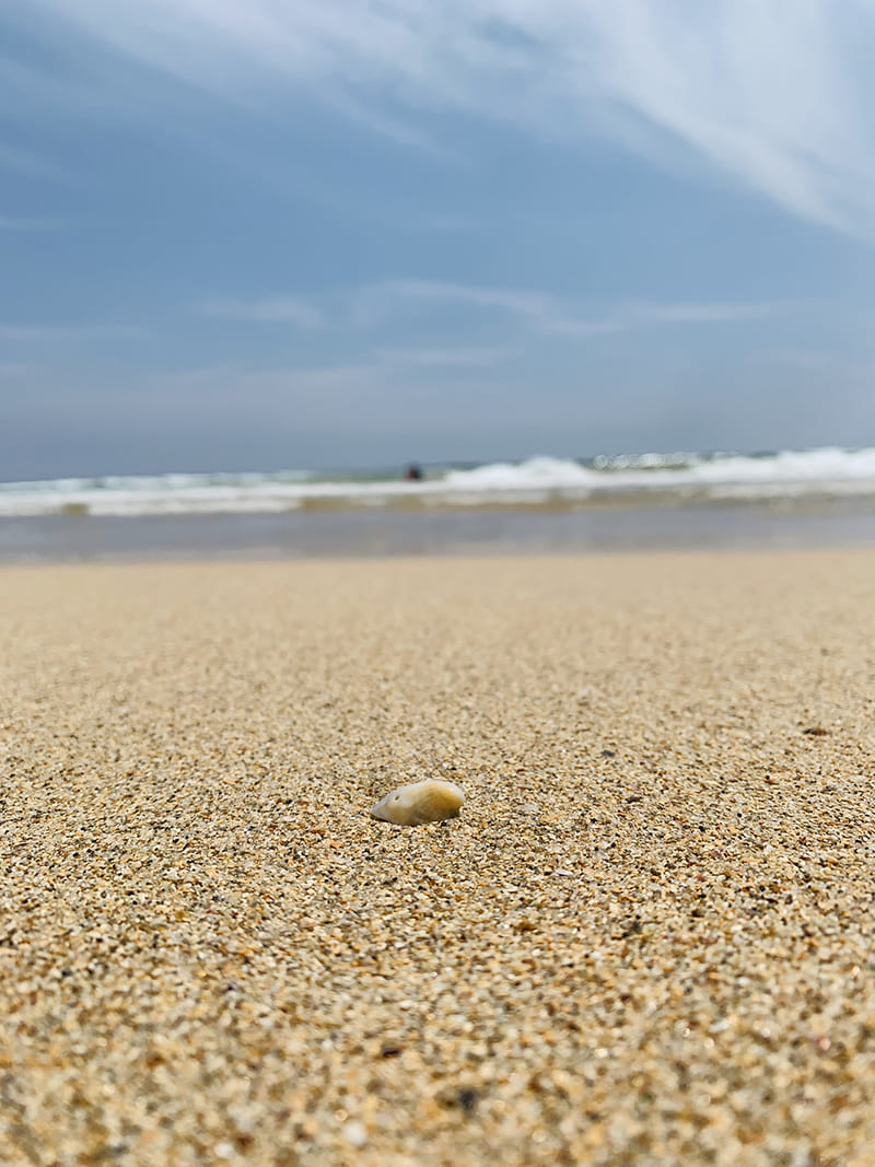 御宿海開き キレイな砂浜