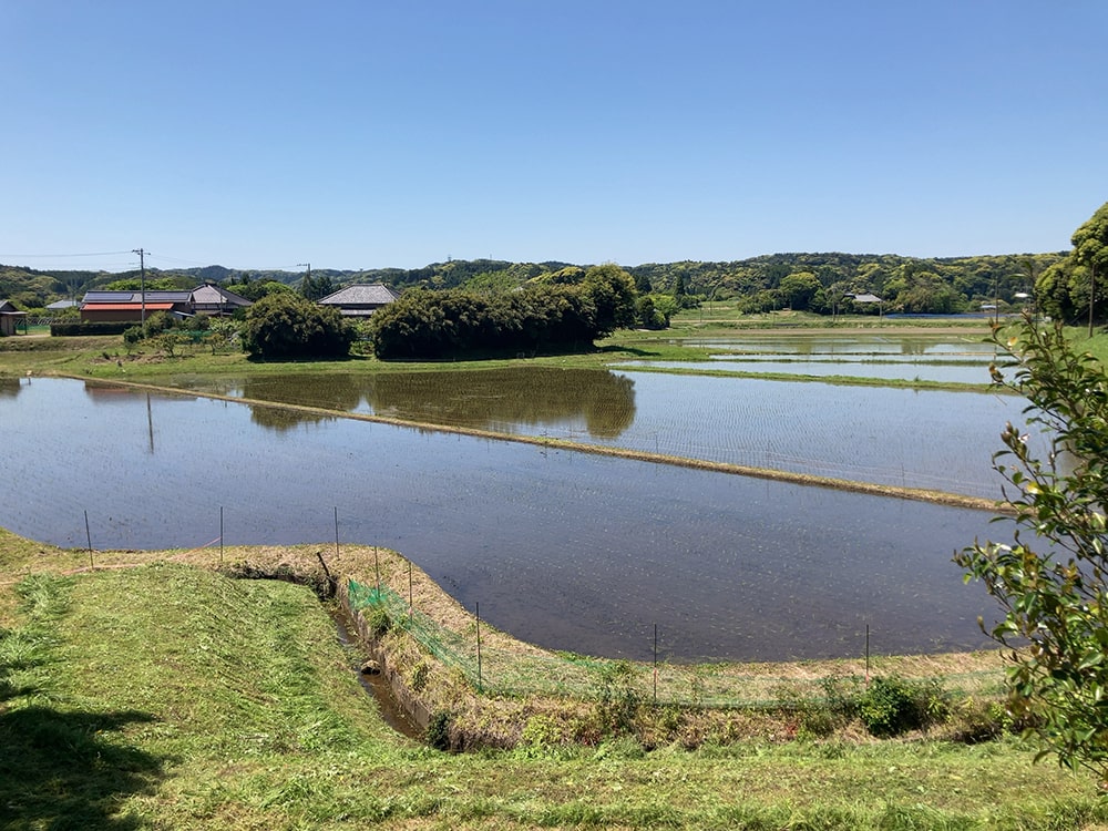 御宿町 青木家 水田