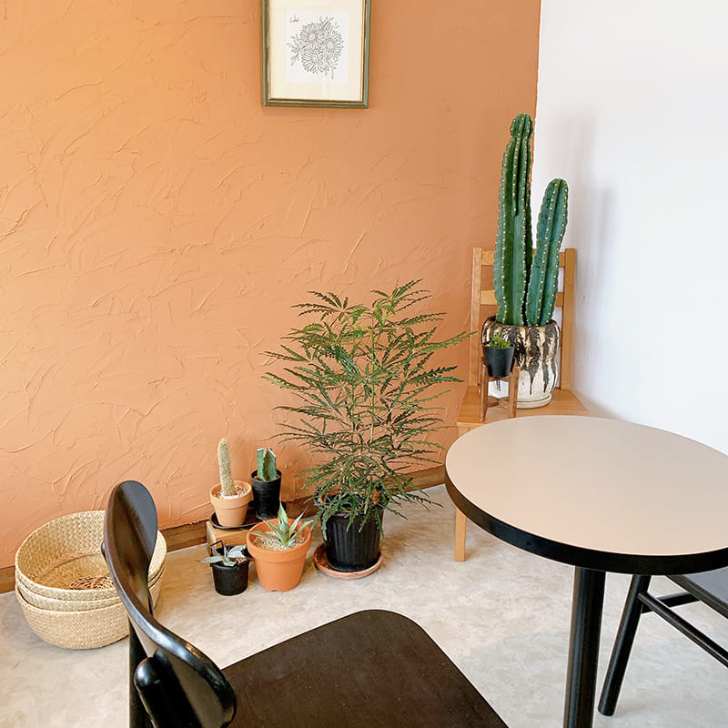 御宿町 KOHO 観葉植物