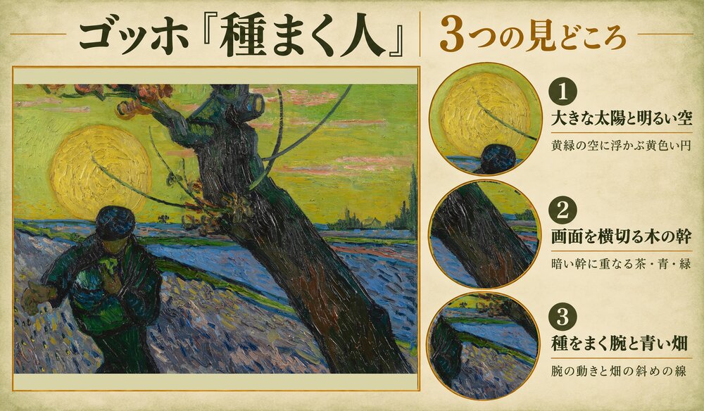 「種まく人」の3つの見どころ：大きな太陽と明るい空、画面を横切る木の幹、種をまく腕と青い畑
