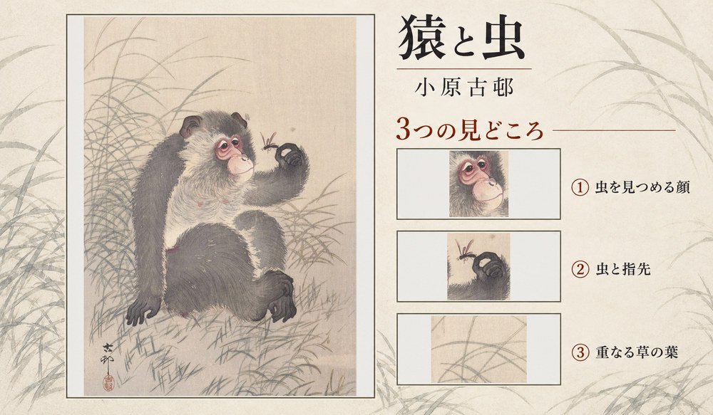 小原古邨「猿と虫」の全図と、虫を見つめる顔、虫と指先、重なる草の葉を示した3つの見どころ