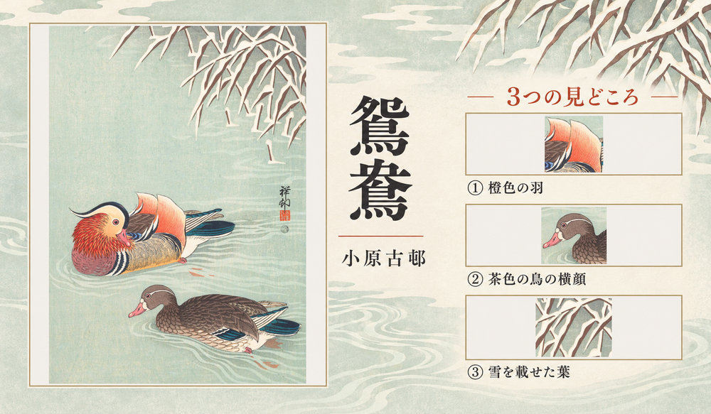 小原古邨「鴛鴦」の全図と、橙色の羽、茶色の鳥の横顔、雪を載せた葉を示した3つの見どころ