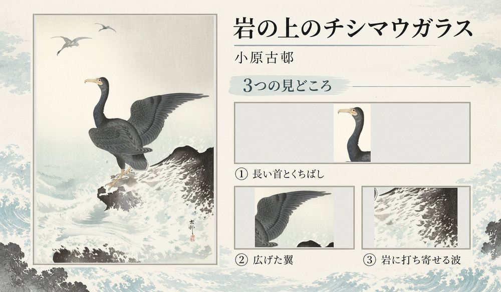 小原古邨「岩の上のチシマウガラス」の全図と、長い首とくちばし、広げた翼、岩に打ち寄せる波を示した3つの見どころ