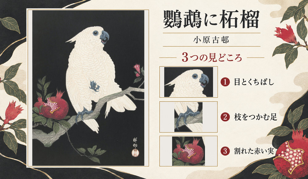 小原古邨「鸚鵡に柘榴」の全図と、目とくちばし、枝をつかむ足、割れた赤い実を示した3つの見どころ