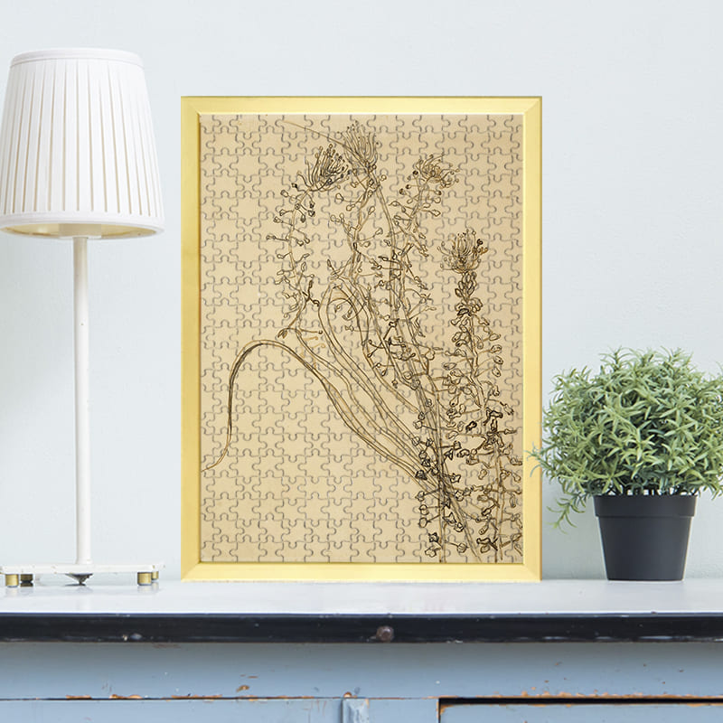 タッセルヒヤシンス（フィンセント・ファン・ゴッホ）