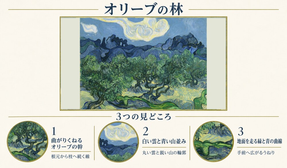 「オリーブの林」の3つの見どころ：曲がりくねるオリーブの幹、白い雲と青い山並み、地面を走る緑と青の曲線