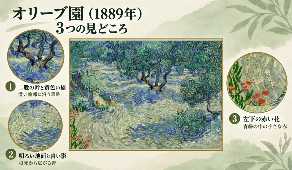 「オリーブ園（1889年）」の3つの見どころ：二股の幹と黄色い線、明るい地面と青い影、左下の赤い花