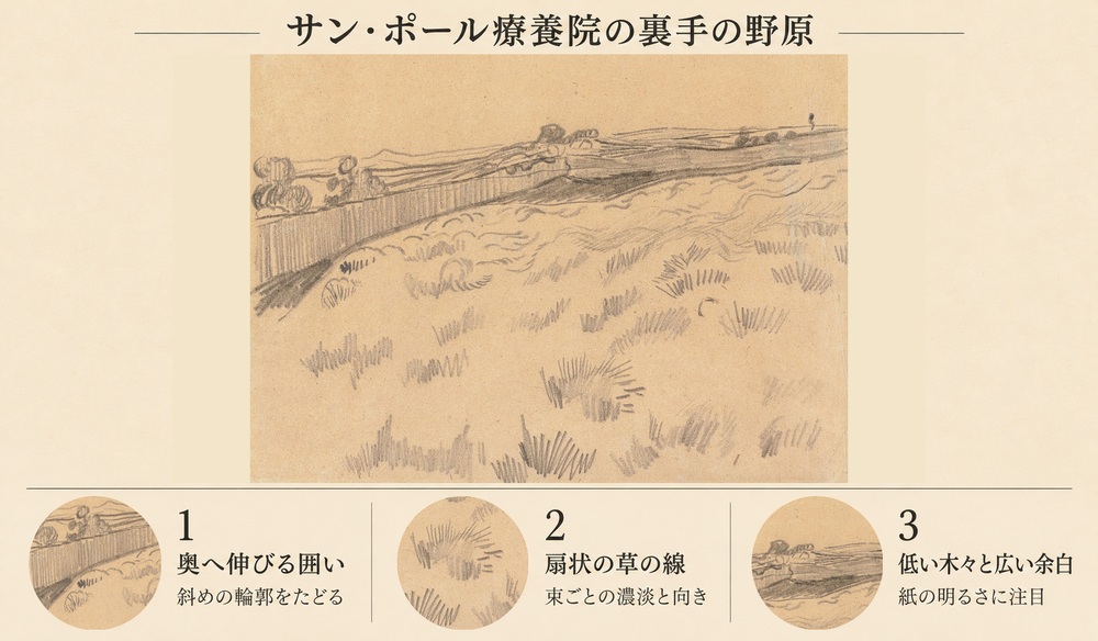 「サン・レミ・ド・プロヴァンスにある聖パウロ精神病院の裏手の野原の眺め」の3つの見どころ：奥へ伸びる囲い、扇状の草の線、低い木々と広い余白