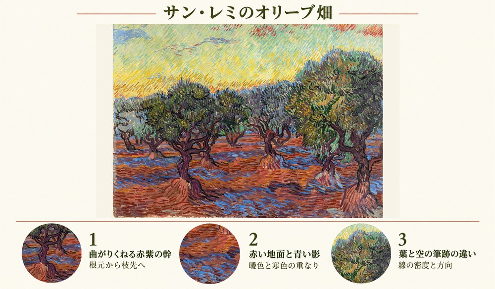 「サン・レミのオリーブ畑」の3つの見どころ：曲がりくねる赤紫の幹、赤い地面と青い影、葉と空の筆跡の違い