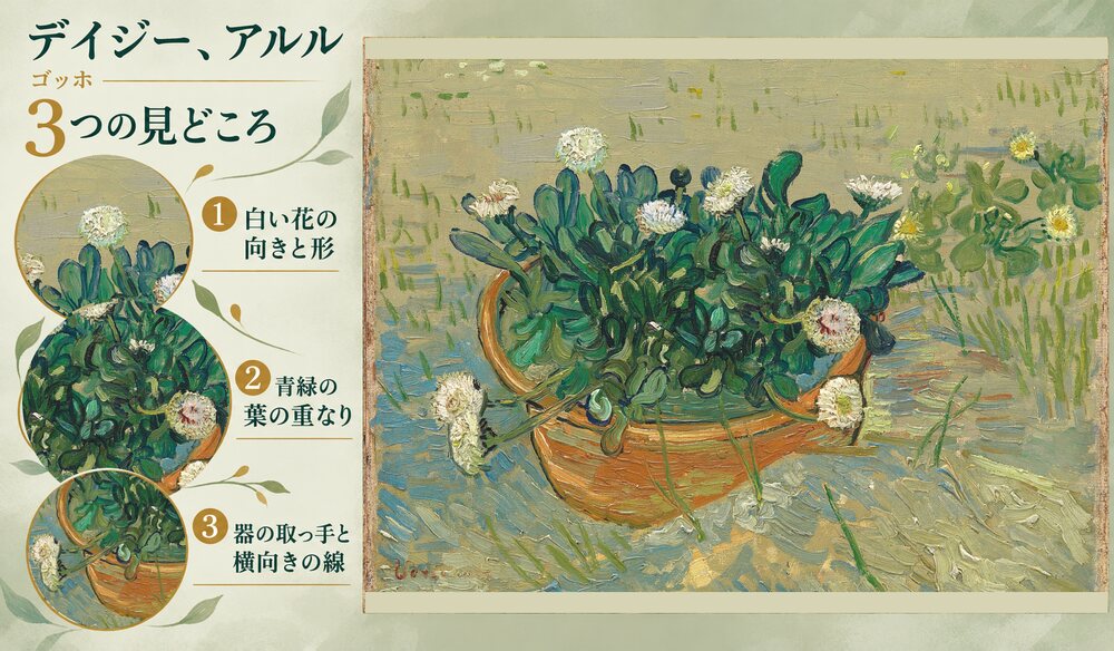 「デイジー、アルル」の3つの見どころ：白い花の向きと形、青緑の葉の重なり、器の取っ手と横向きの線