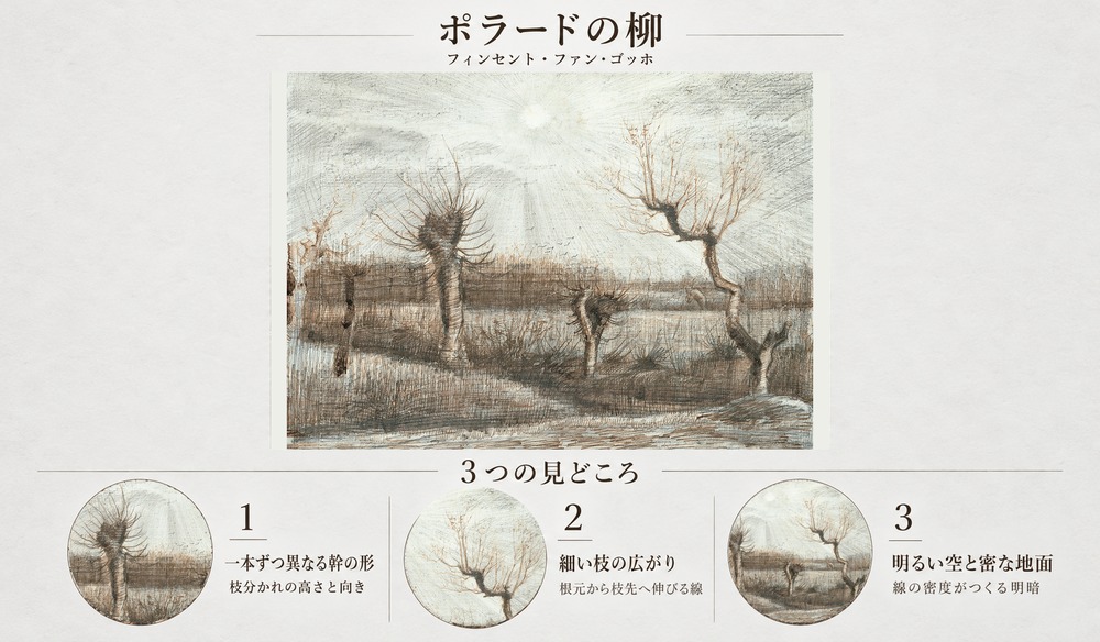 「ポラードの柳」の3つの見どころ：一本ずつ異なる幹の形、細い枝の広がり、明るい空と密な地面