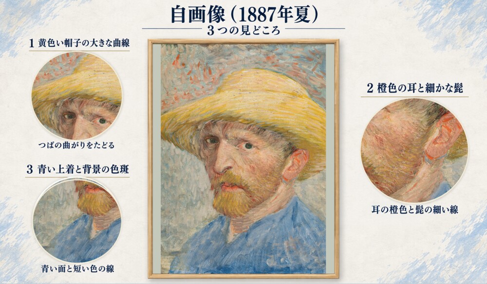 「自画像（1887年夏）」の3つの見どころ：黄色い帽子の大きな曲線、橙色の耳と細かな髭、青い上着と背景の色斑