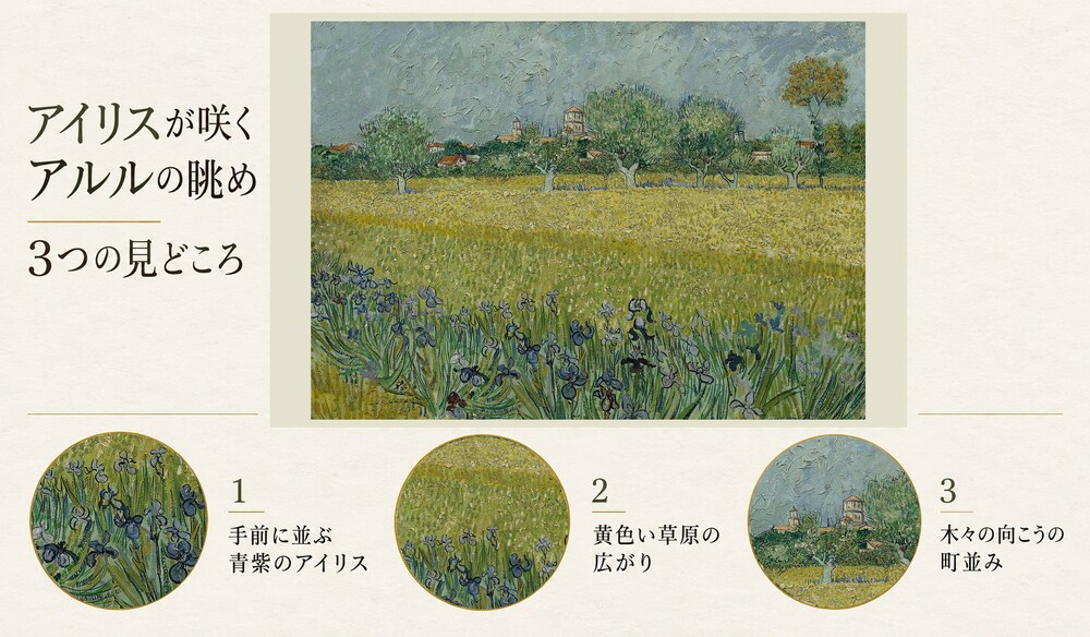 「アイリスが咲くアルルの眺め」の3つの見どころ：手前に並ぶ青紫のアイリス、黄色い草原の広がり、木々の向こうの町並み