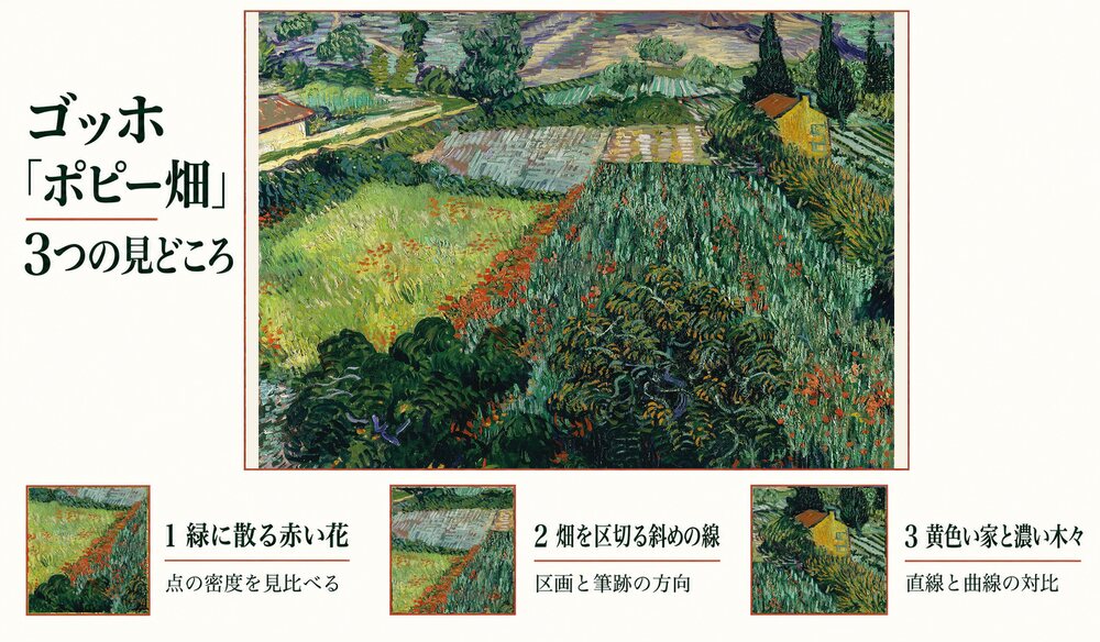 「ポピー畑」の3つの見どころ：緑の畑に散る赤い花、区切られた畑の斜めの線、黄色い家と濃い木々