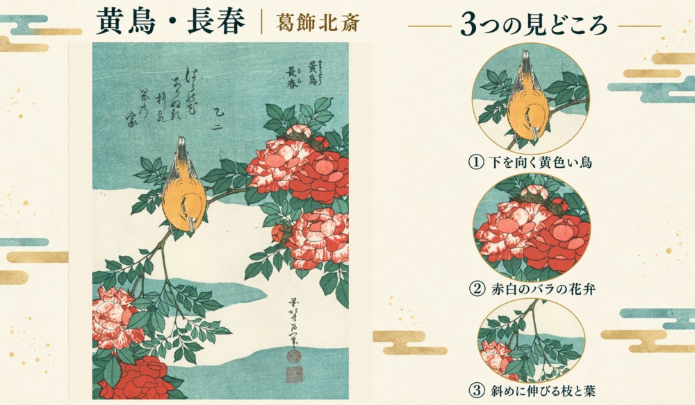 葛飾北斎「黄鳥・長春」の全図と、下を向く黄色い鳥、赤白のバラの花弁、斜めに伸びる枝と葉を示した3つの見どころ