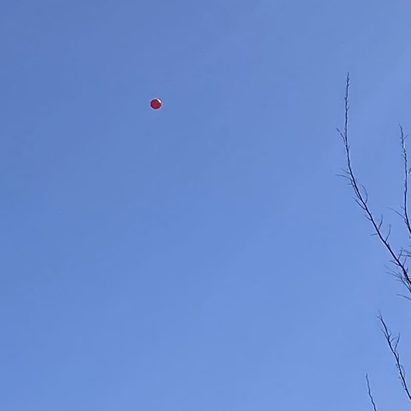 御遺骨を詰めたバルーンが成層圏へ向けて出発