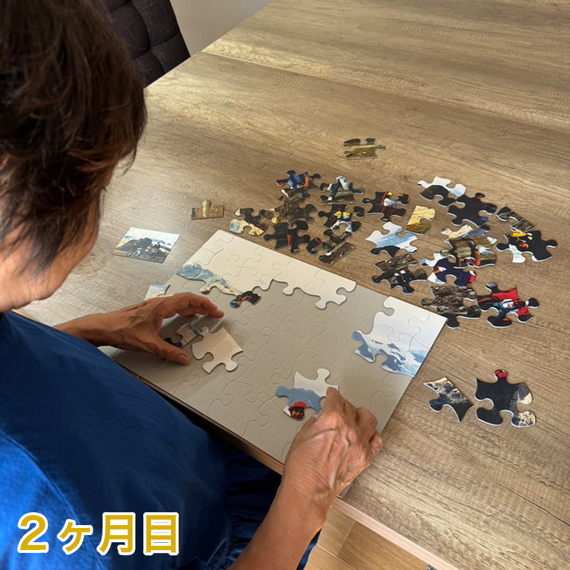 脳トレジグソーパズル2ヶ月目2