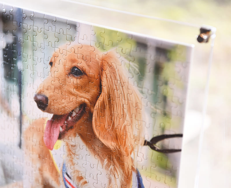 インテリアにピッタリな写真パズル