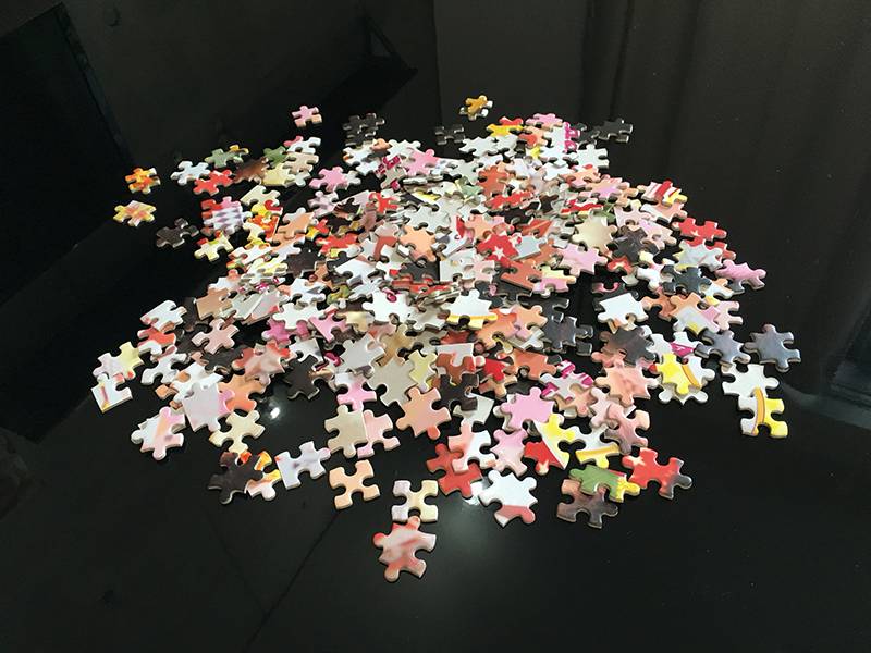 300ピースのジグソーパズル、何時間で組み立てられるか挑戦 | 写真で 