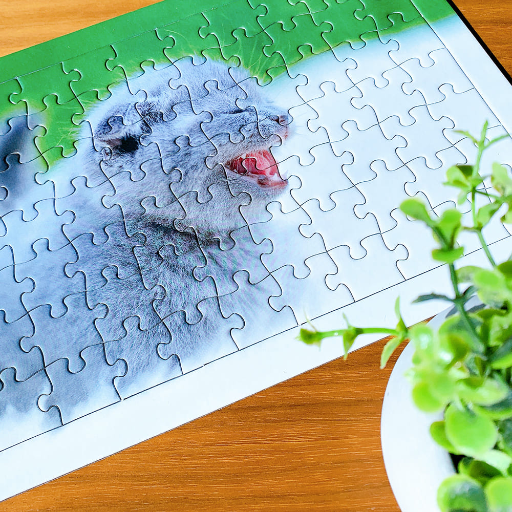 ピクチャーパズル パズル工房シャフト7