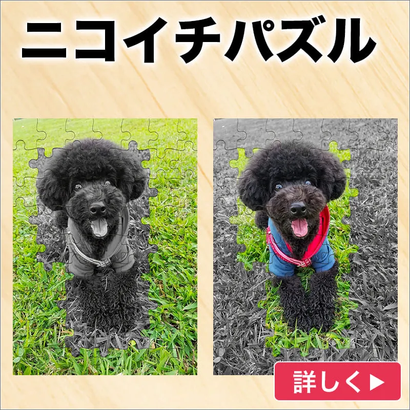 ニコイチパズル