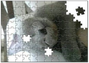 ペットの写真からオリジナルジグソーパズル作成