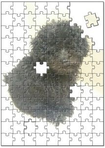 ペットの写真からオリジナルジグソーパズル作成