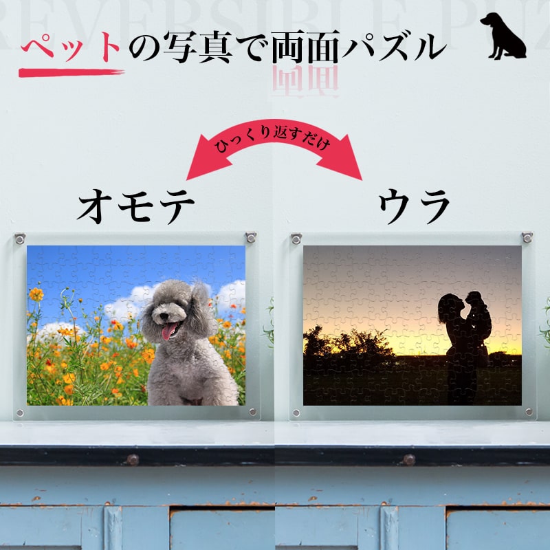 両面パズルを飾った時のイメージ　ペット